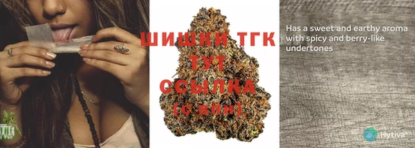 хмурый Анива