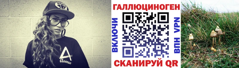 как найти закладки  Жуковка  Галлюциногенные грибы Cubensis 